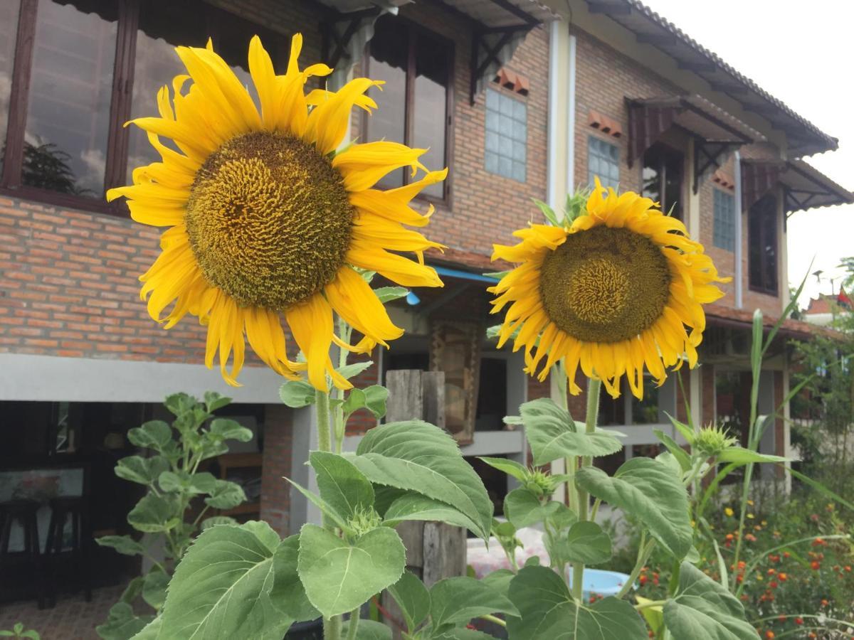 Silk Island Homestay 프놈펜 외부 사진