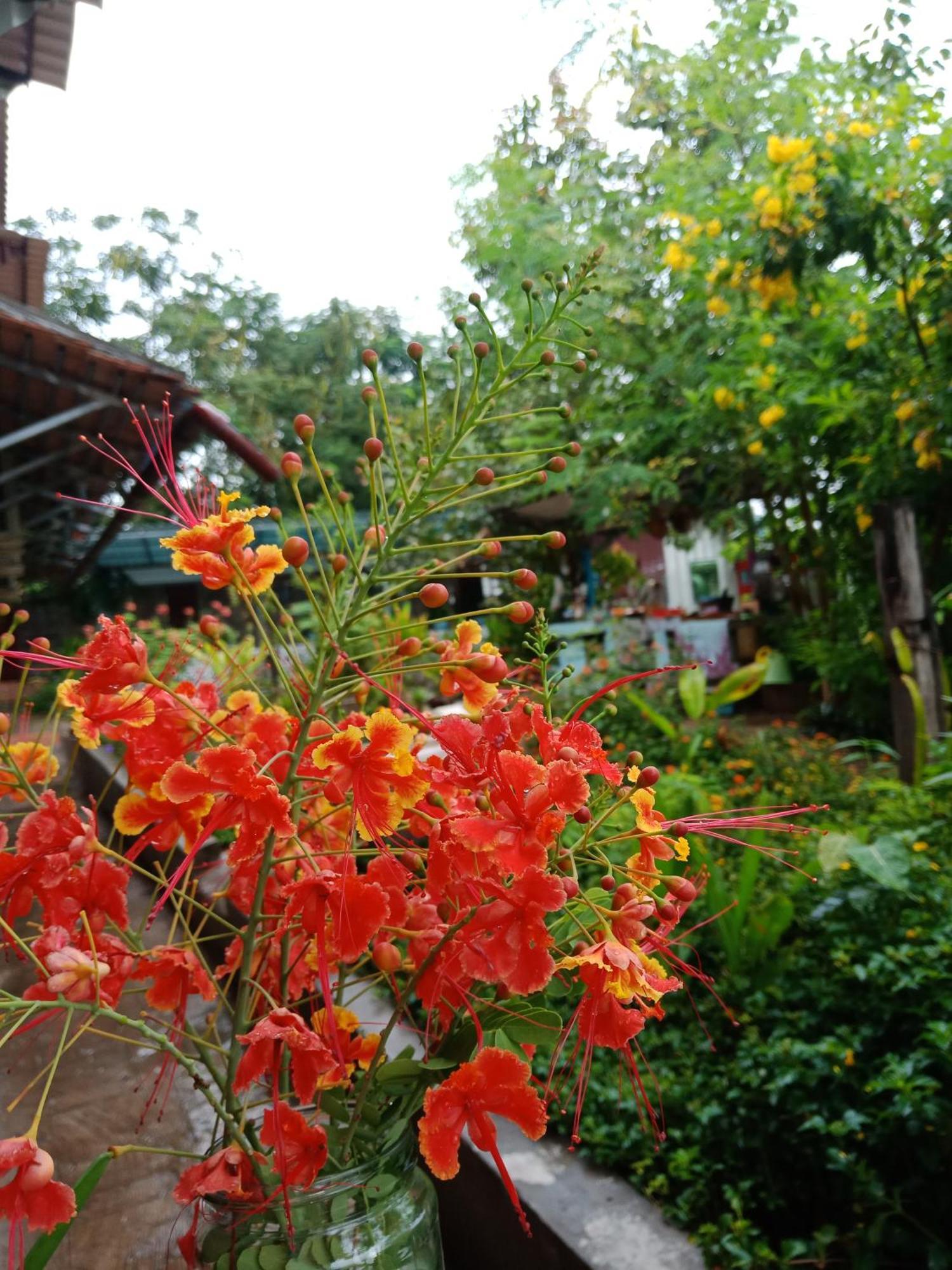 Silk Island Homestay 프놈펜 외부 사진